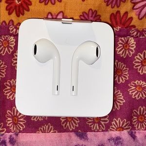 Apple Earphones